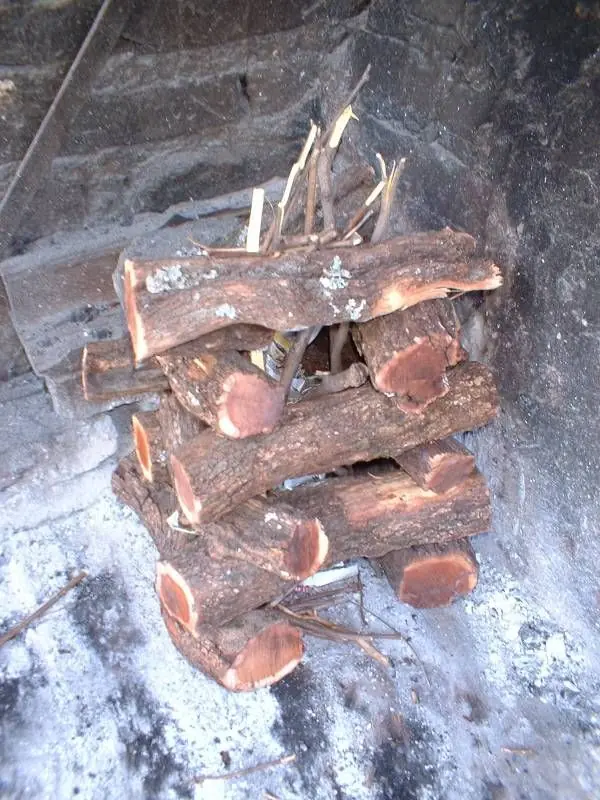 "Asado"...consejos para ser el mejor Asador