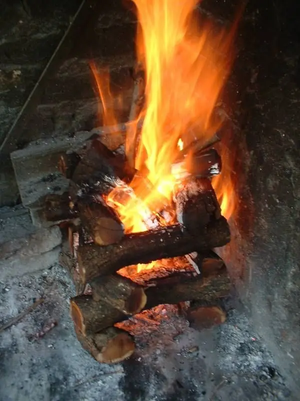 asado