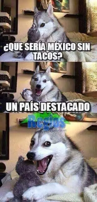 Chiste