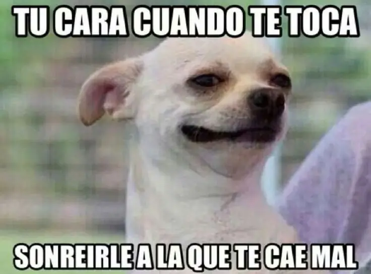 gracioso