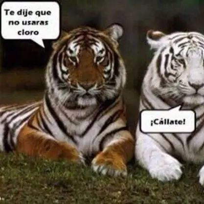 imagenes