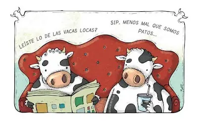 Vacas