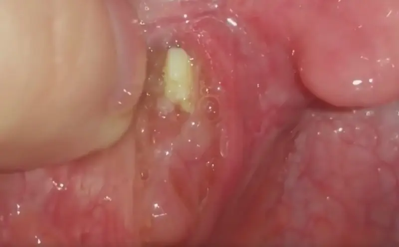 dentista