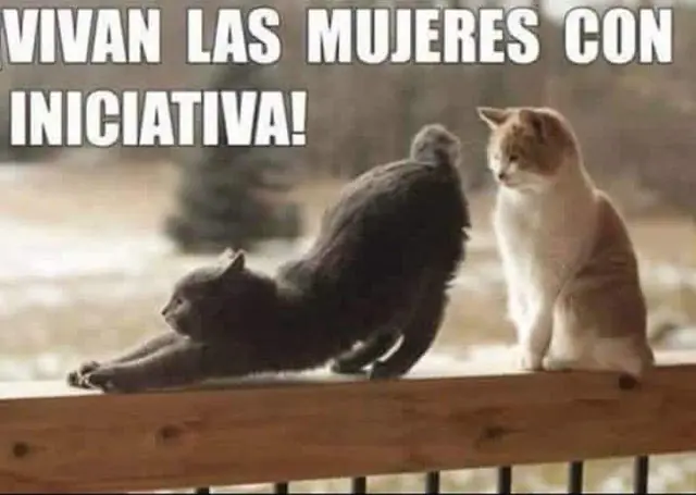 Humor Megapost
