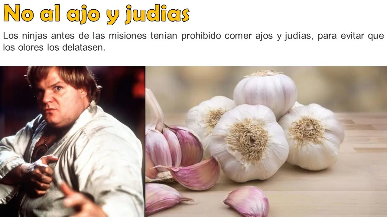 curioseadores