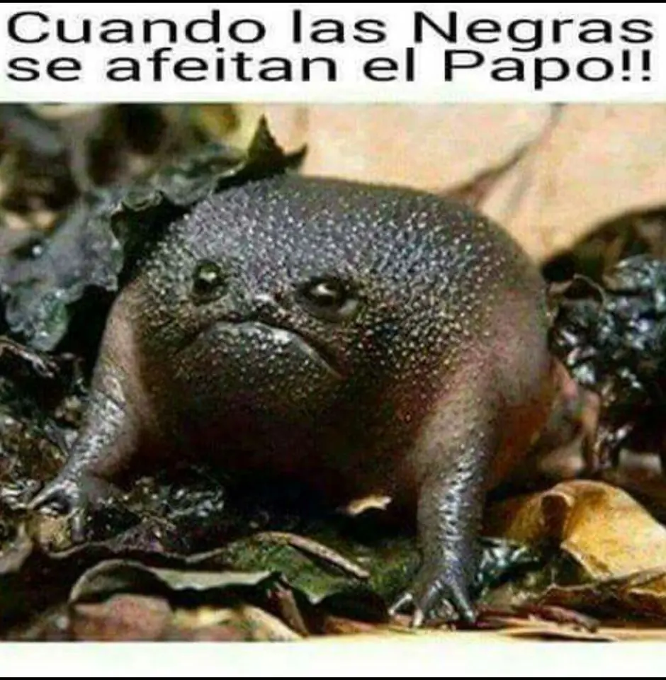 Humor Grafico