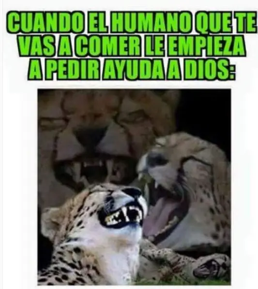 Humor Grafico