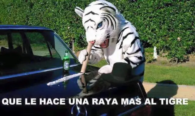 parte 5