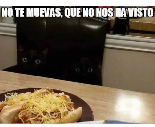 imagenes divertidas