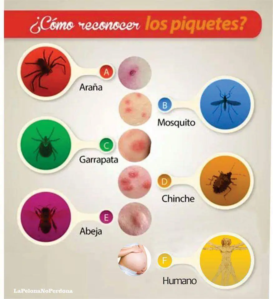 parte 5