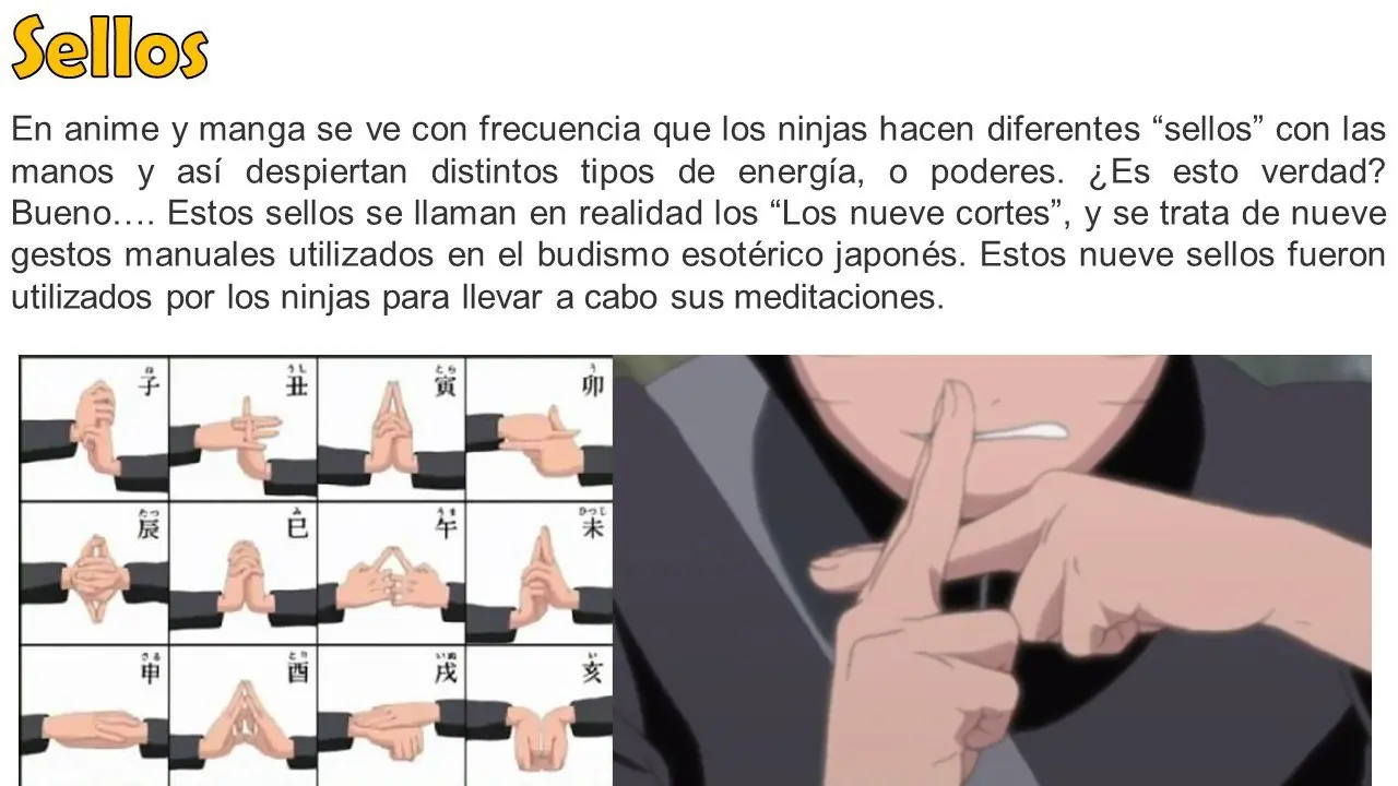 curioseadores