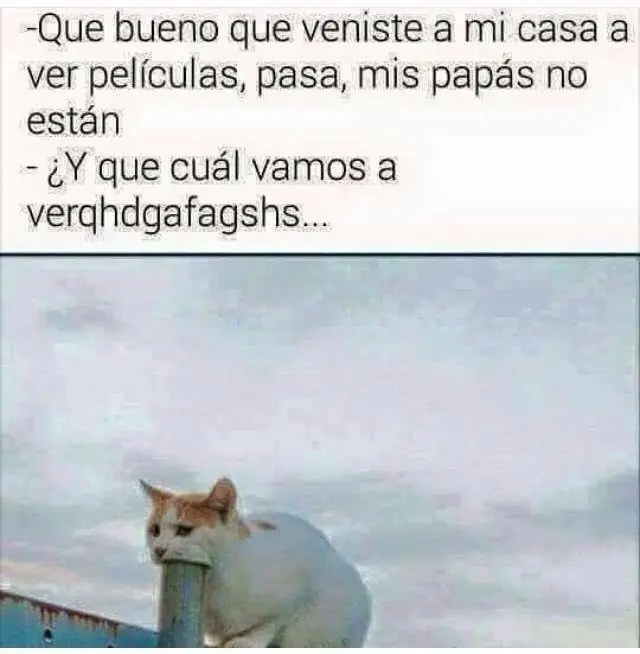parte 5