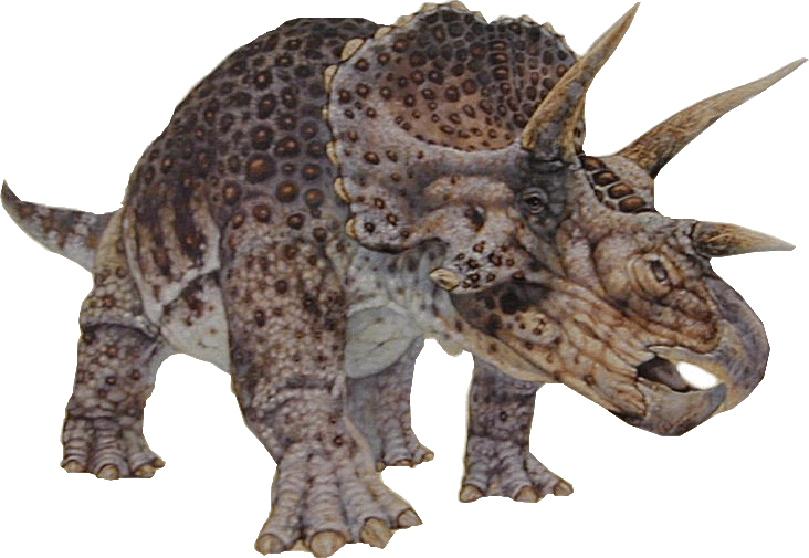 La historia de los dinosaurios /Como se extinguieron/