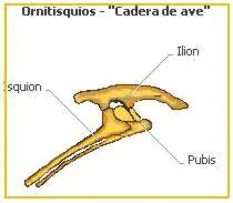 años atras