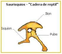 La historia de los dinosaurios /Como se extinguieron/
