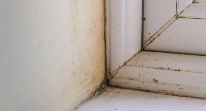 Trucos para eliminar la humedad de la pared