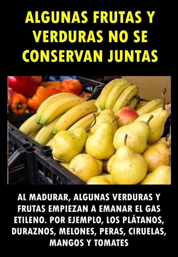 alimentos