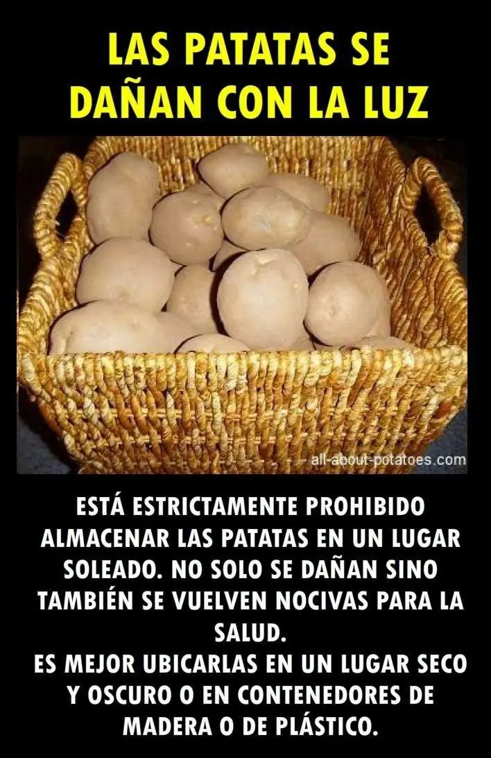 frutas