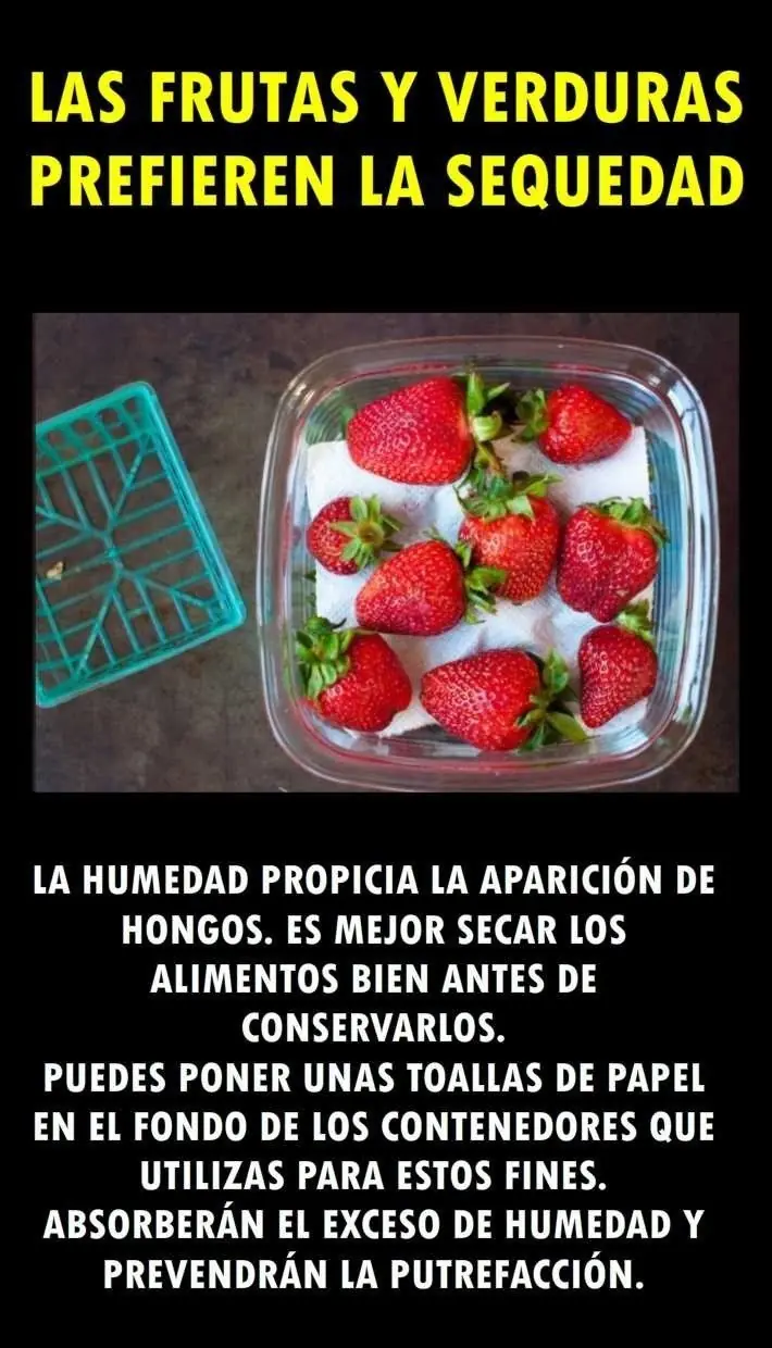 verduras