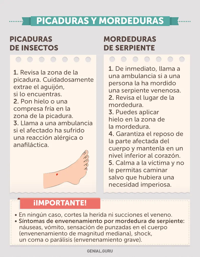Emergencia