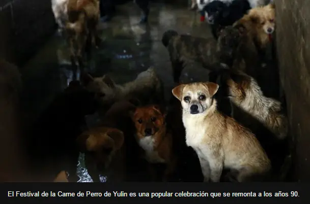 polemica polemica
