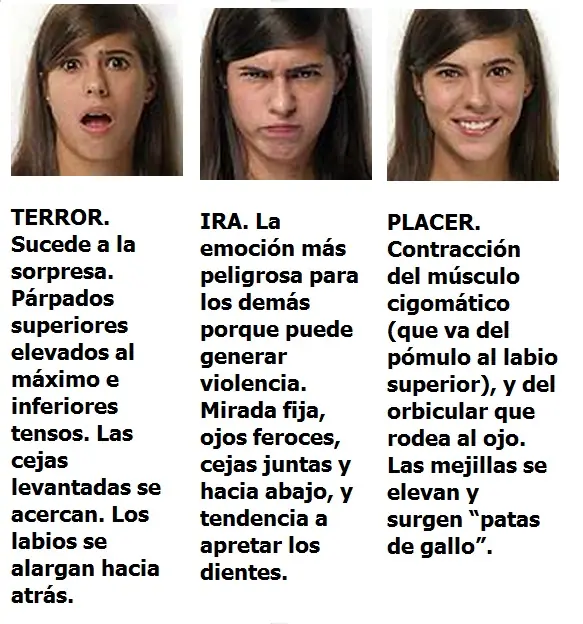 Lenguaje Corporal; Inteligencia Colectiva!