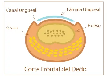 unas quebradas