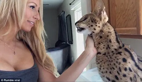 la esta poniendo