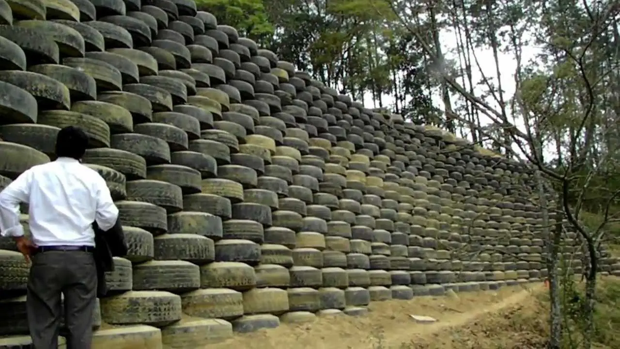 ecologia