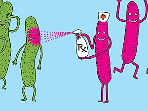 bacteria