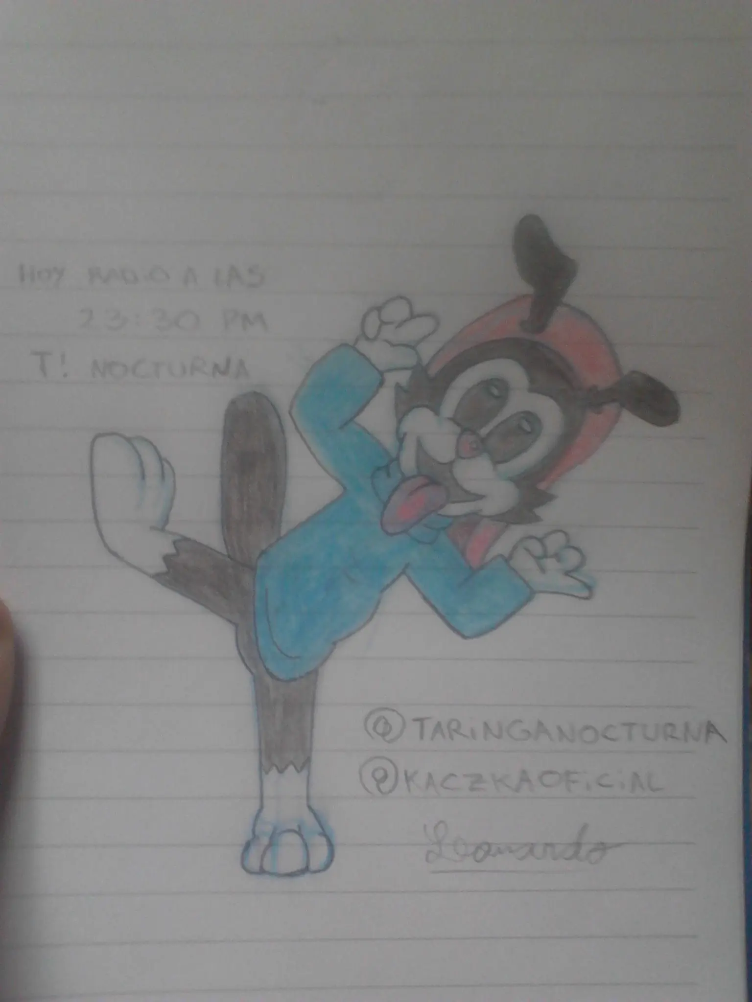 Dibujé a Wakko de animaniacs y te lo muestro