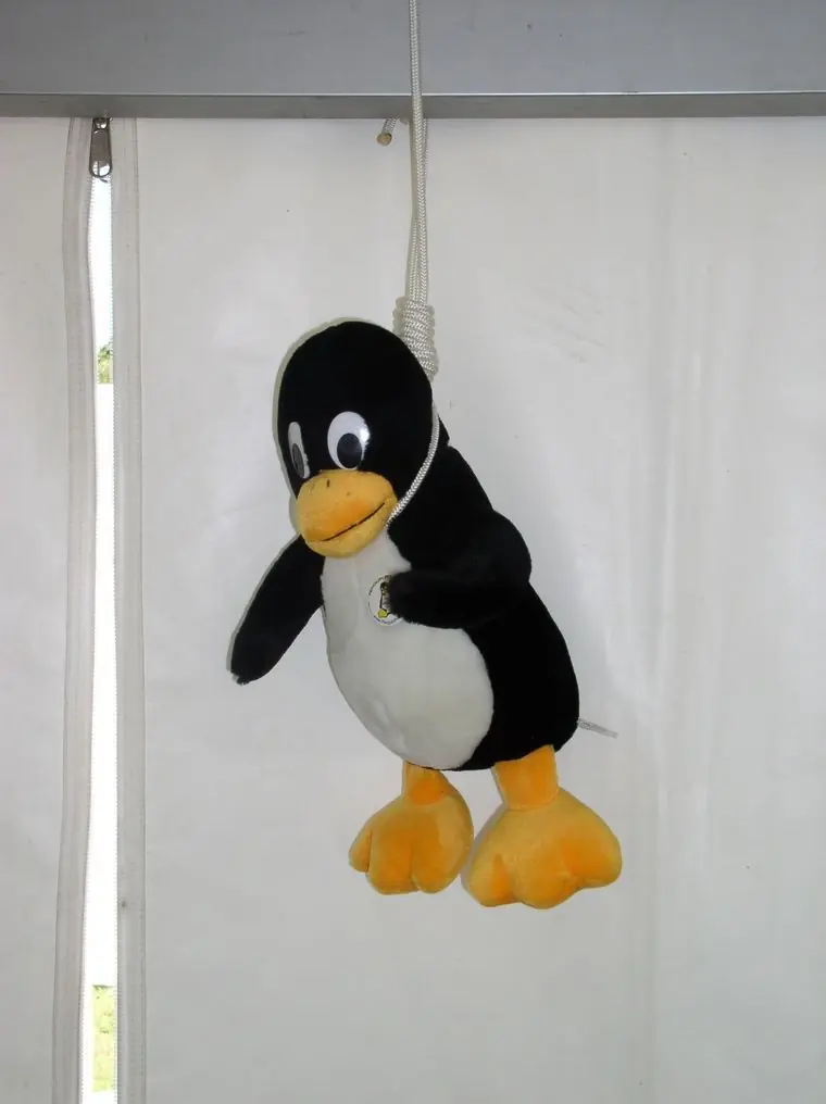 Sos K? vení lince te enseño hacer el nudo de horca