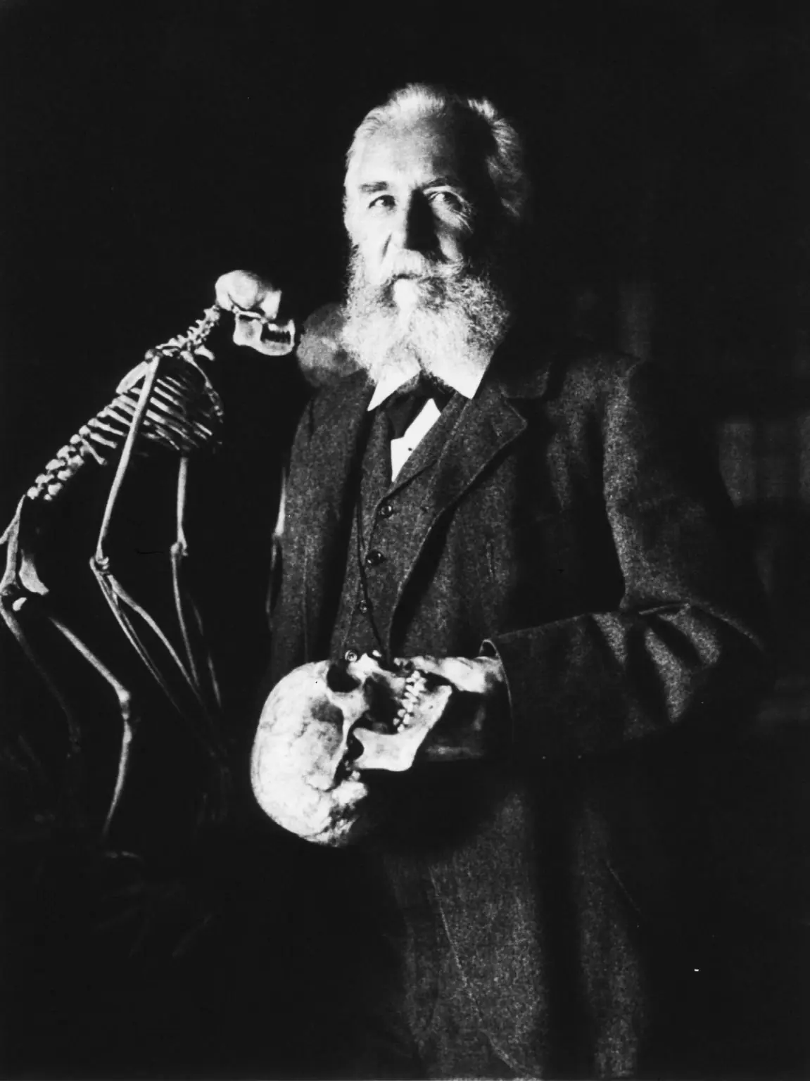 ciencia