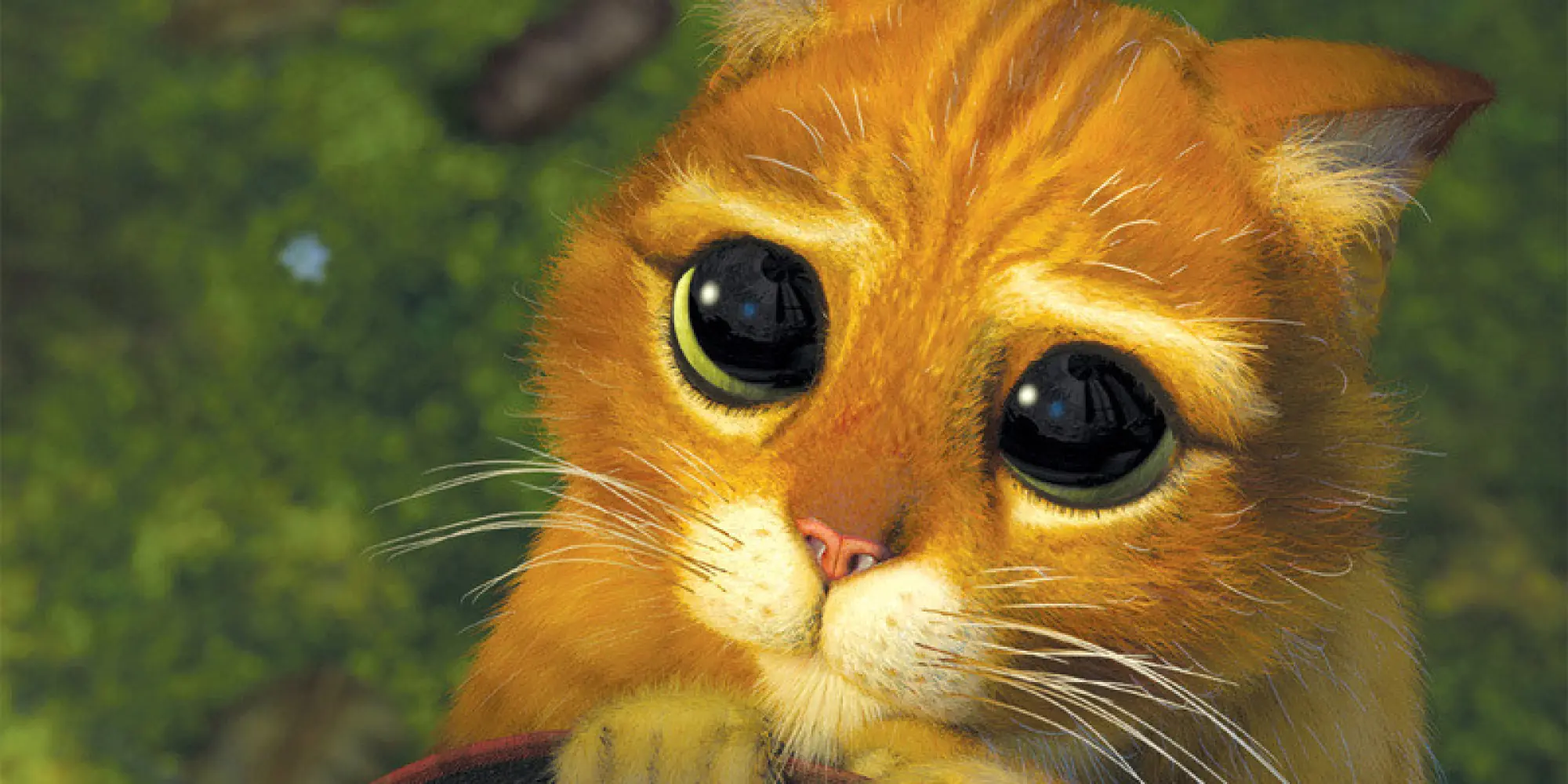 Torta de gatito (Foto-Receta)