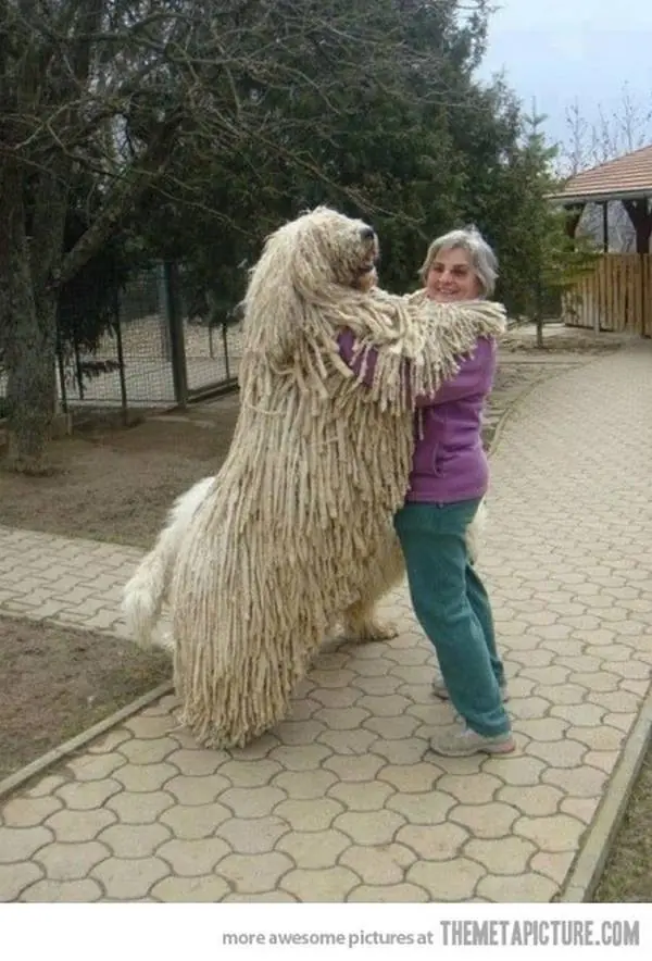 gigantes