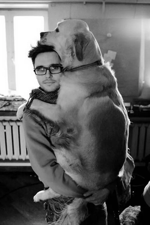cachorros