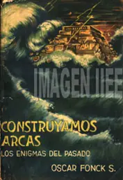 El pasado Vikingo del sur de Chile