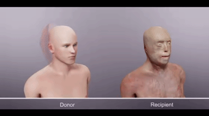 Increíbles Inventos - en Videos