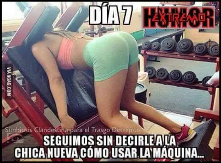 risa