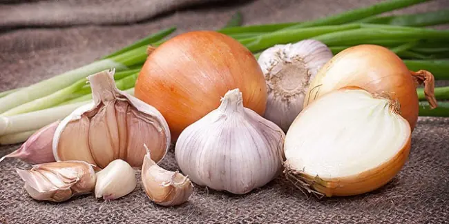 9 Maneras de combatir los mosquitos!