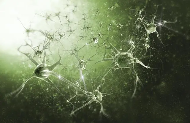 errores del cerebro