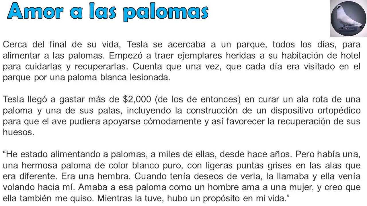 Curiosidades para Curioseadores: Nikola Tesla