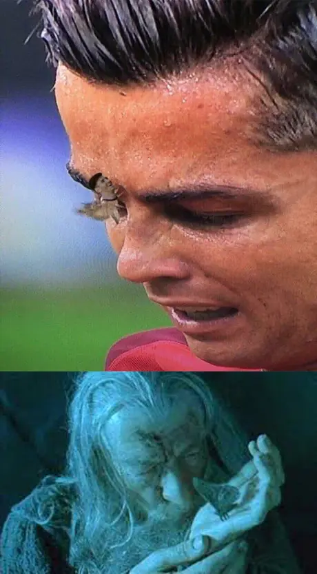 memes portugal campeon