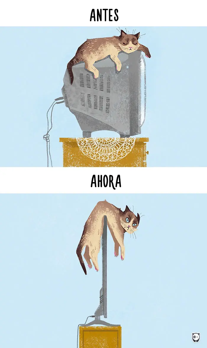 La tecnologia vs Los gatos