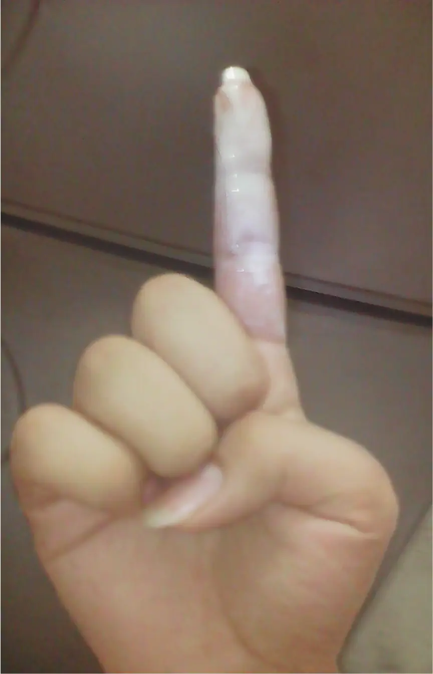 yogur yogur