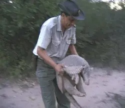 carreta