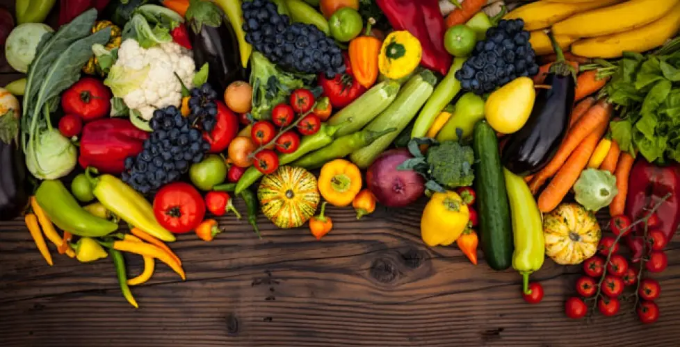 veganos veganos