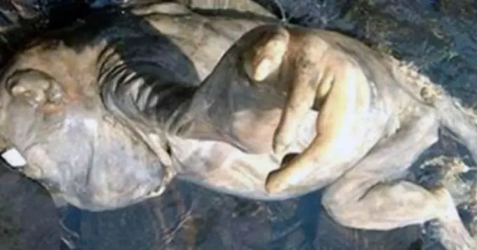 En Paraguay encontraron al chupacabras