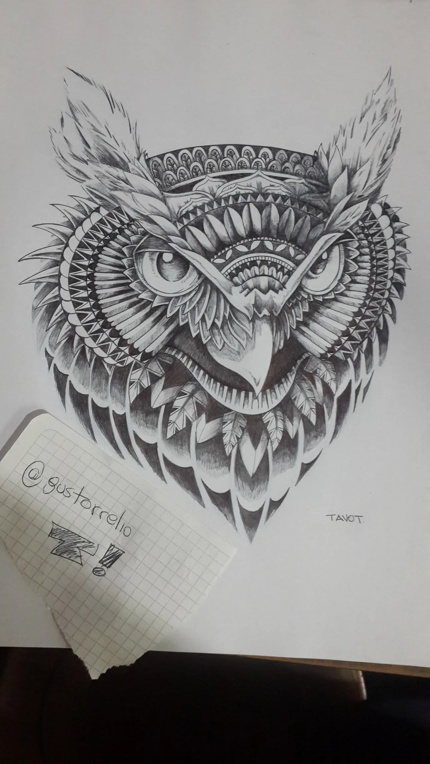 animal