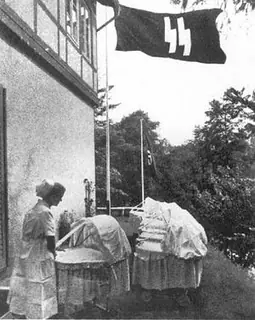 Niños Niños